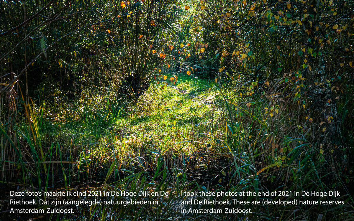 'Herfst en winter in De Hoge Dijk en De Riethoek'. Fotografie Anton Staartjes