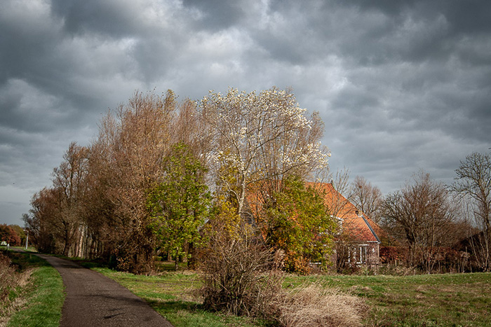 'Gaasterland'. Fotografie Anton Staartjes