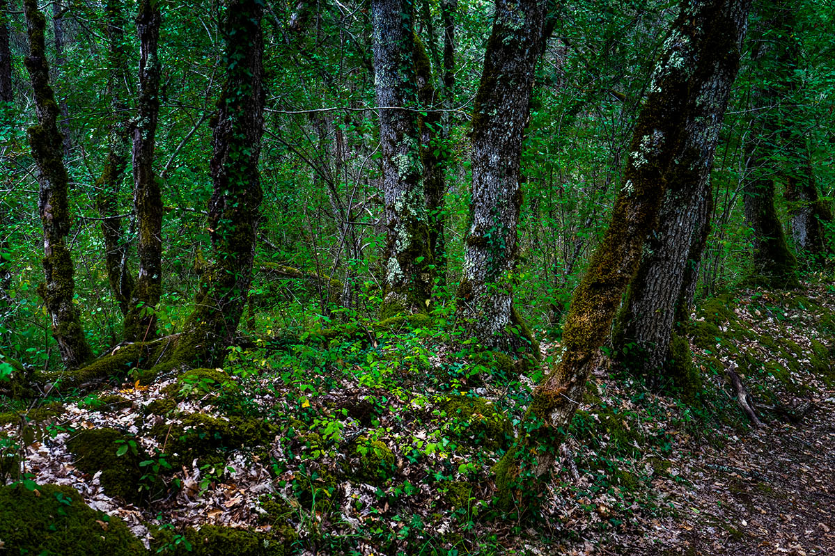 '5. Landschap. Fotografie Anton Staartjes.