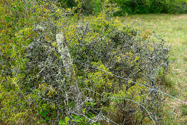 '6. Afbeelding wordt geladen...