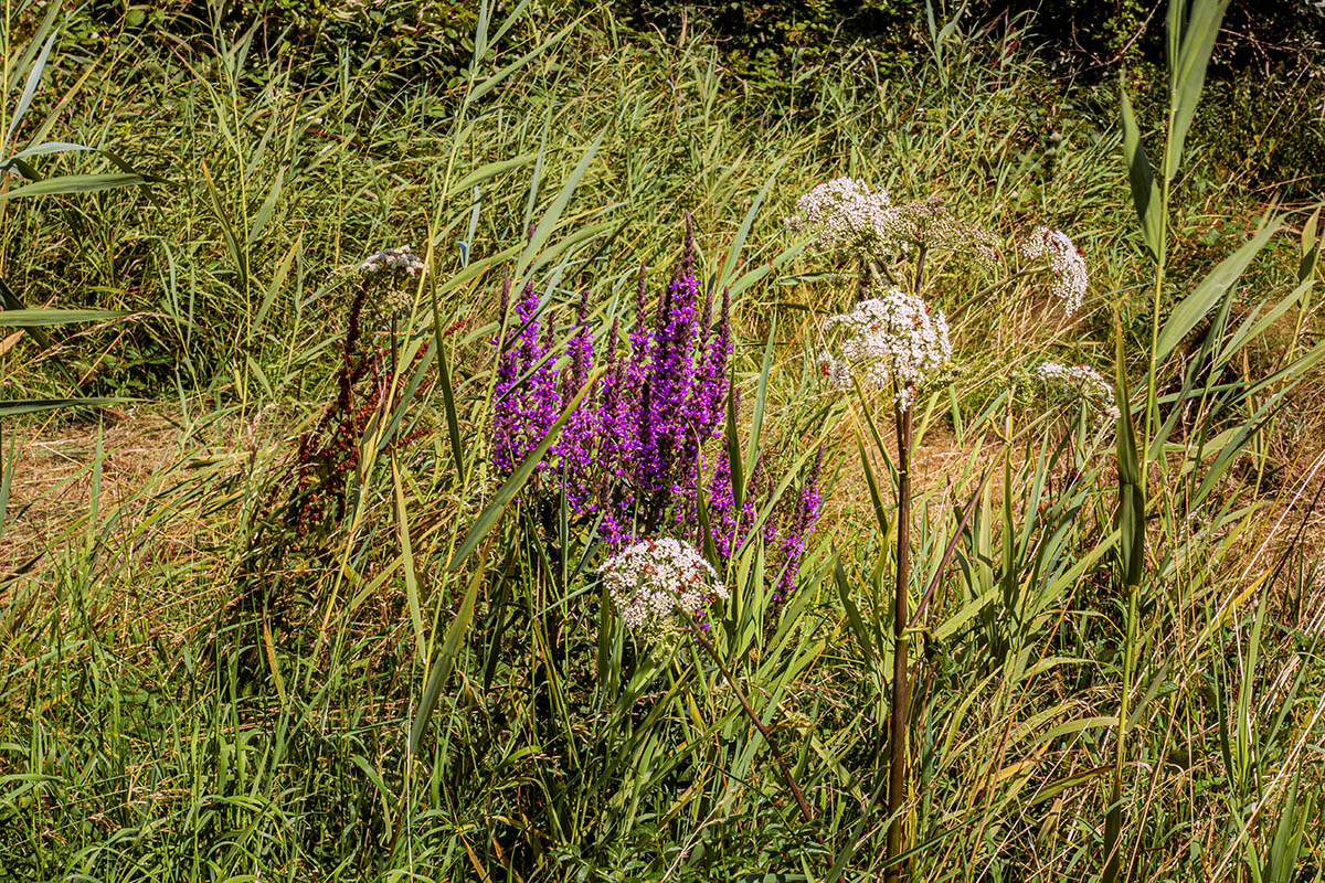 '8. Landschap. Fotografie Anton Staartjes.