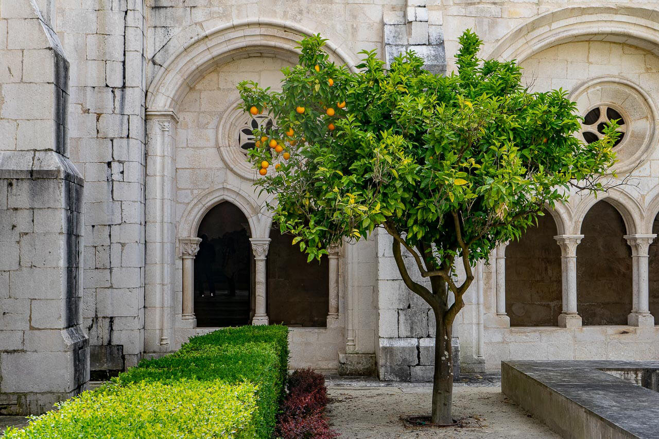 '16. Religare Portugal Fotografie Anton Staartjes