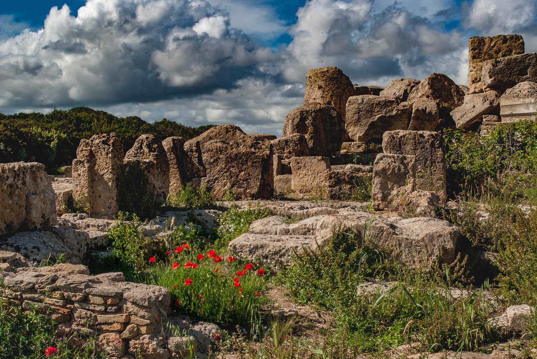 'Tempels bij Selinunte  op Sicilië'. Fotografie Anton Staartjes