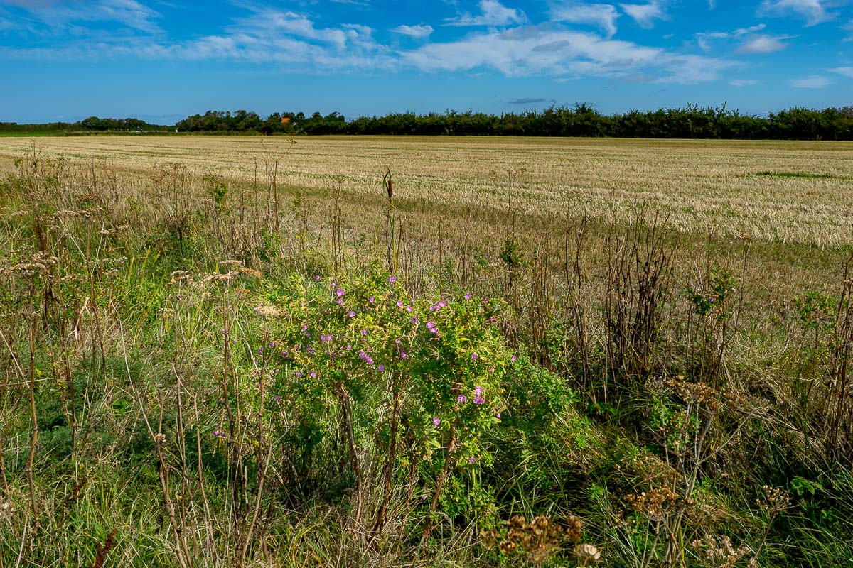 'Landschappen op Texel'. Fotografie Anton Staartjes