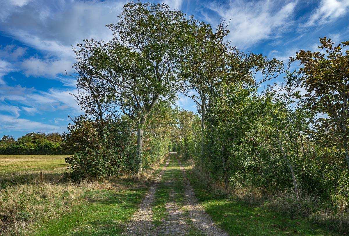 'Landschappen op Texel'. Fotografie Anton Staartjes