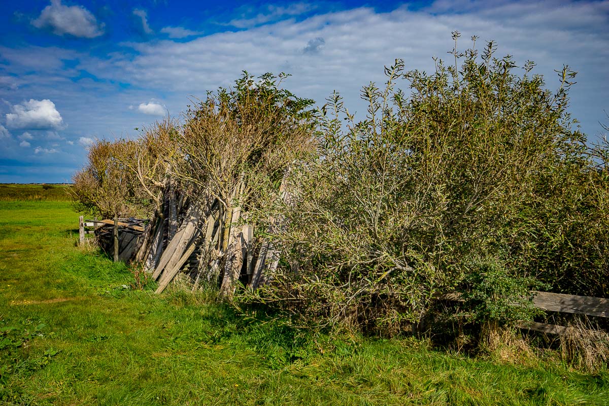 'Landschappen op Texel'. Fotografie Anton Staartjes