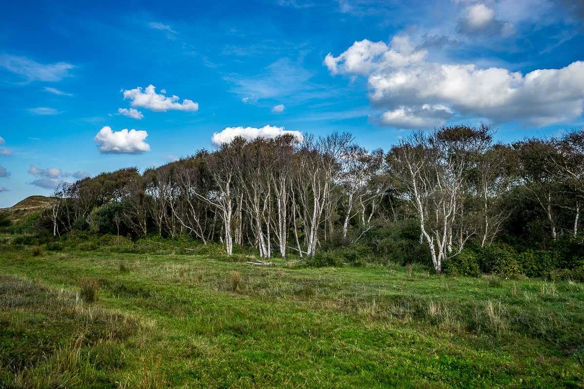 'Landschappen op Texel'. Fotografie Anton Staartjes