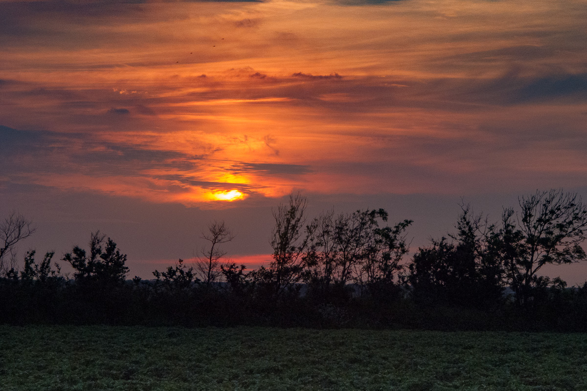 'Landschappen op Texel'. Fotografie Anton Staartjes