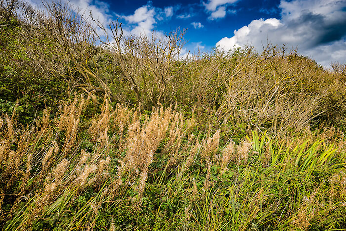 'Zee, strand en duinen op Texel'. Fotografie Anton Staartjes