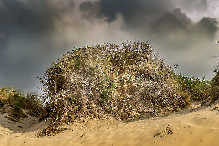 'Zee, strand en duinen op Texel'. Fotografie Anton Staartjes
