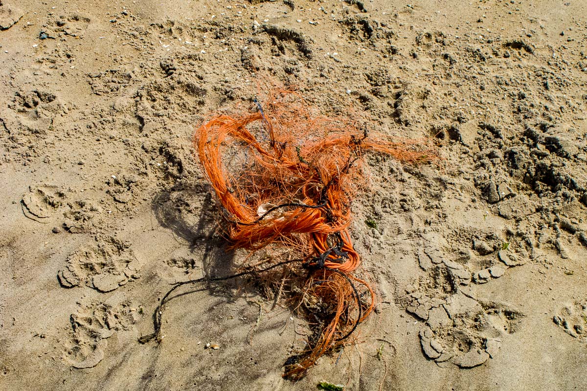 'Zee, strand en duinen op Texel'. Fotografie Anton Staartjes