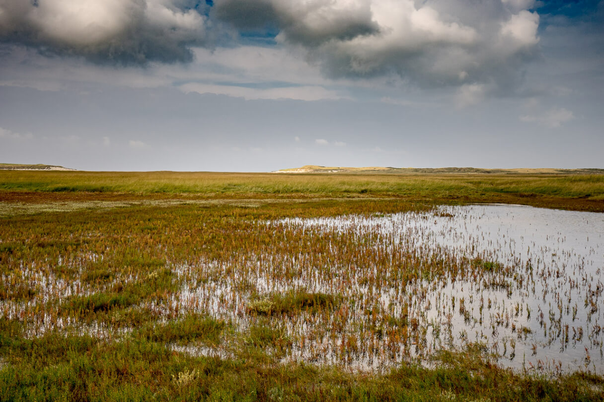 'Zee, strand en duinen op Texel'. Fotografie Anton Staartjes