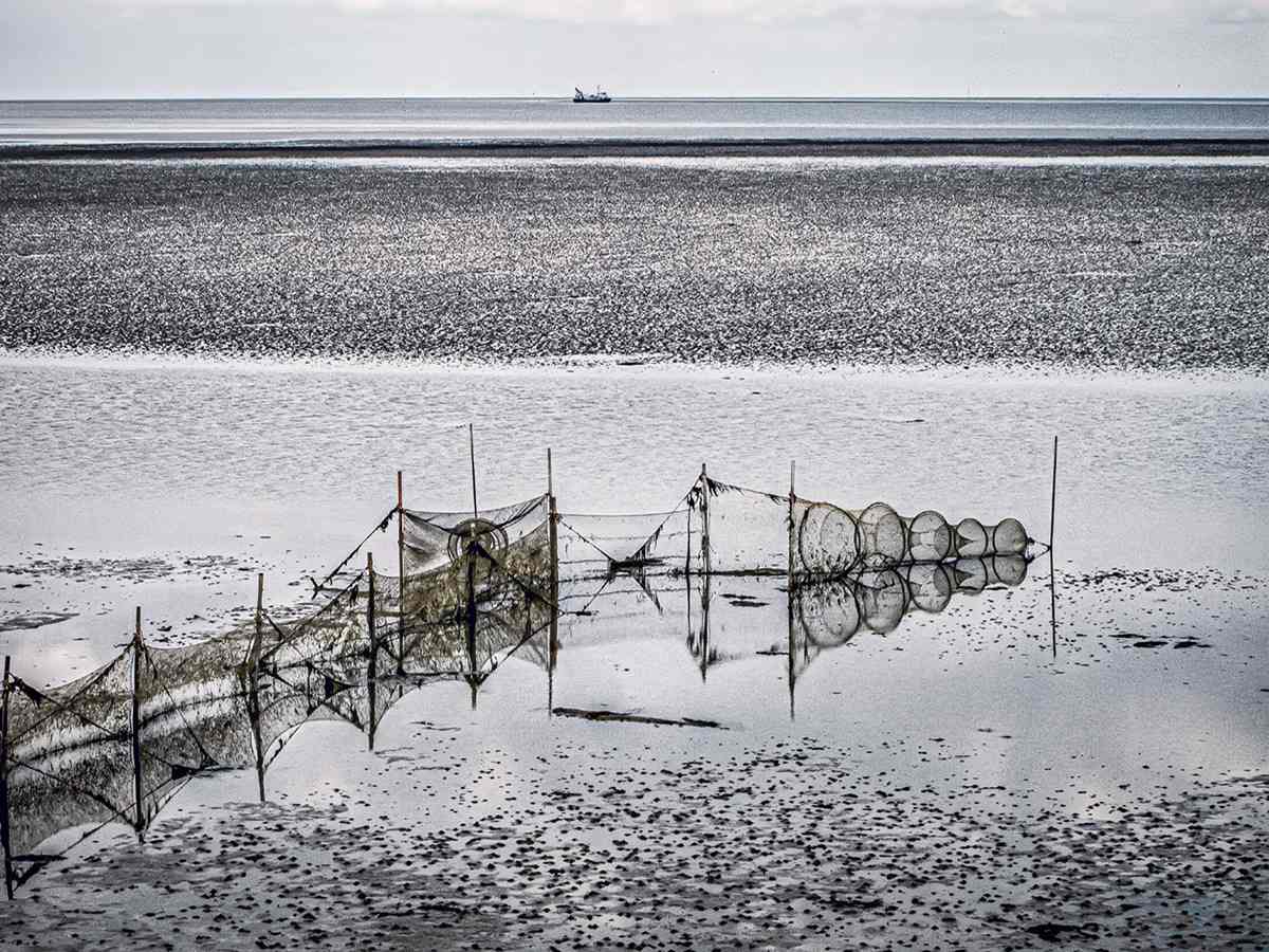 1. Uitzicht over de Waddenzee, een visnet bij laagwater