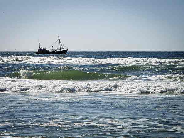 De Zee
