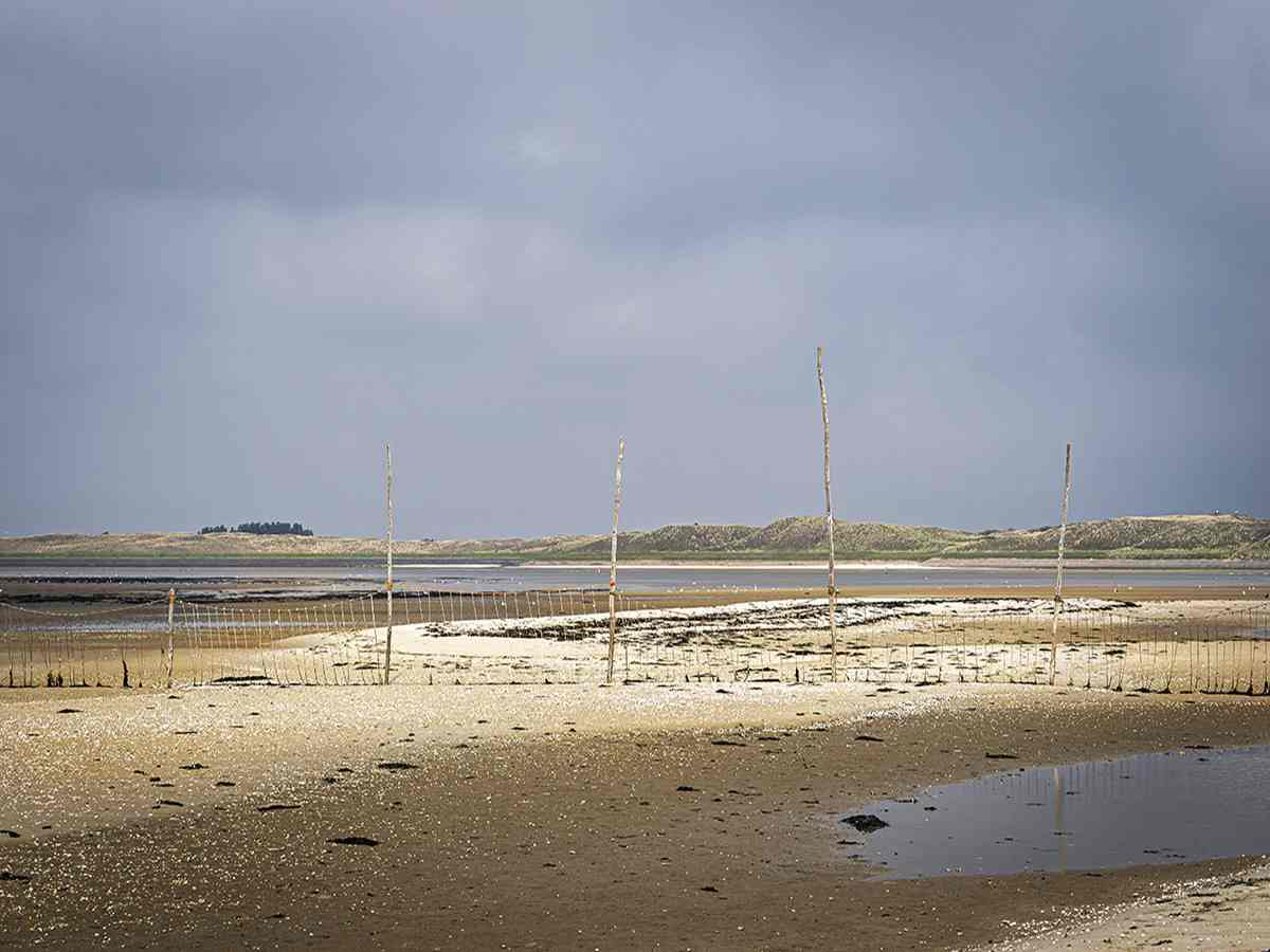 5. Afzetting in De Slufter. Pas op Drijfzand! 