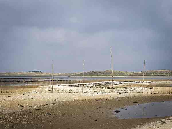De Zee