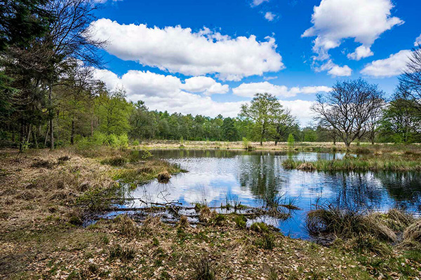 Afbeelding wordt geladen