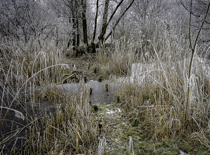 Expositie Anton Staartjes in OBA Reigersbos